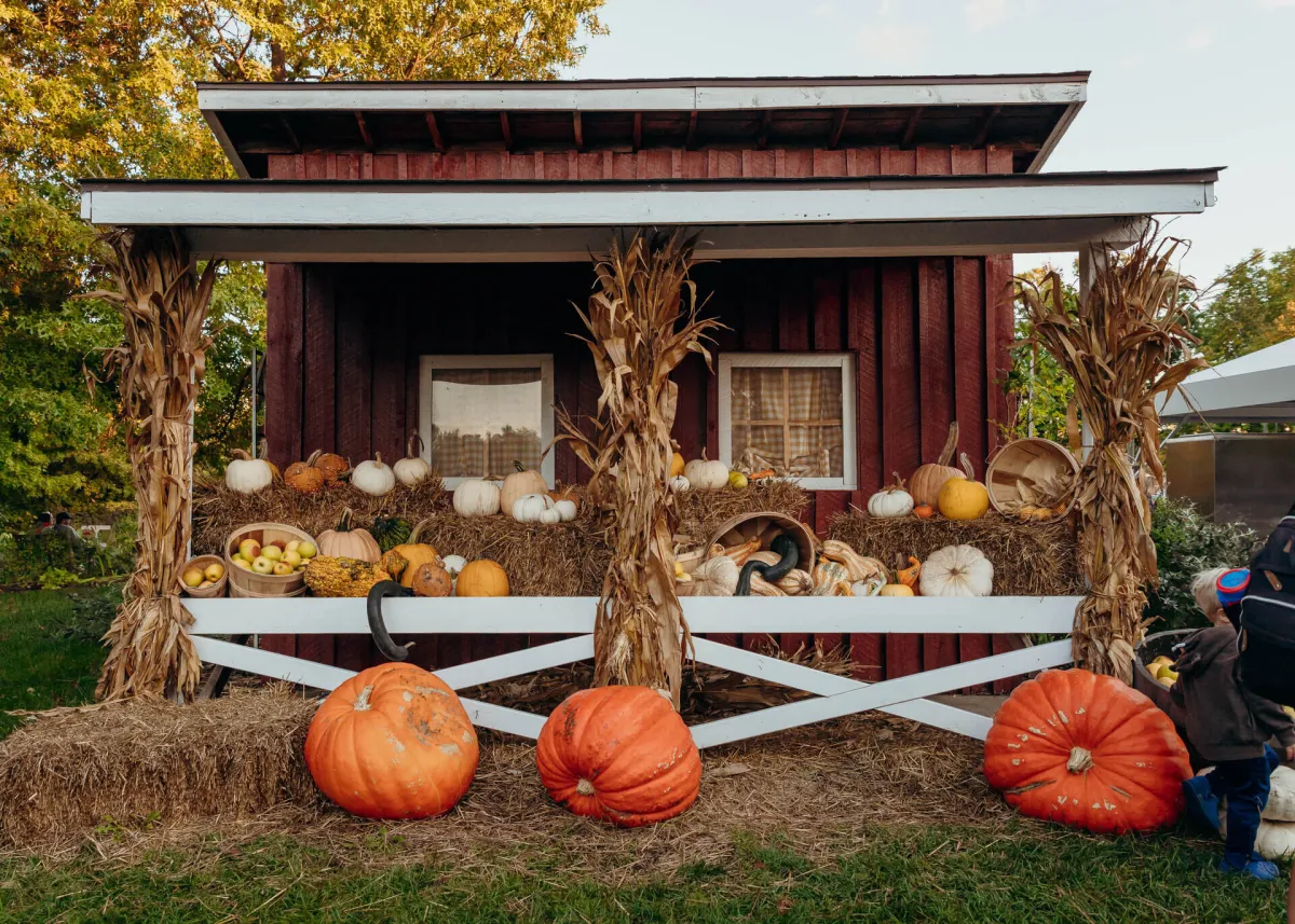 Autumn Weekends at Meijer Gardens